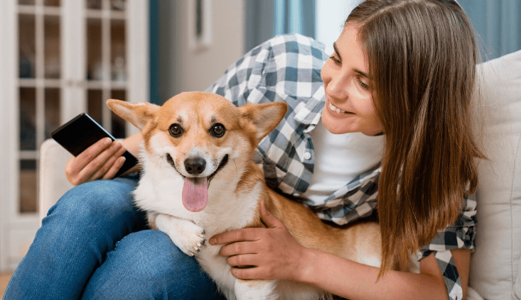 QR Codes and Pet Cards: The Modern Way to Keep Your Furry Friend Safe